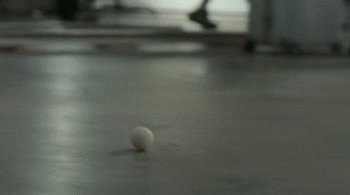 1785841271407026367.gif 图片1.gif
