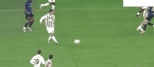 juv int 85.gif