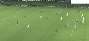 juv int 20.gif