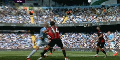 1787493429181057260.gif 4.gif