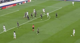 5.gif