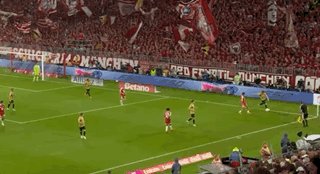 3.gif
