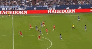 1788651223657063733.gif 333.gif