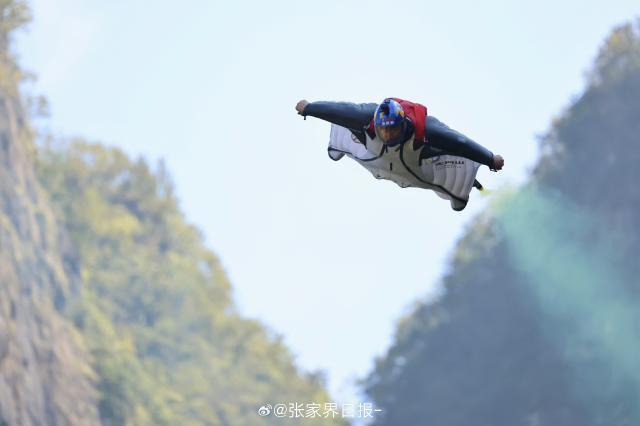 1789217884065041975.jpg 3DB90BD4-326F-42A8-8E1E-6EB51B8005FD_AI看图.jpg