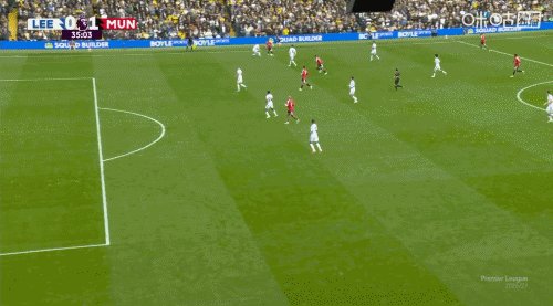 3.1.gif